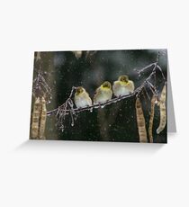 GOLDEN TRIO Greeting Card
