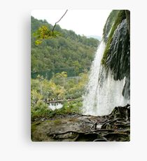 Nature Canvas Print