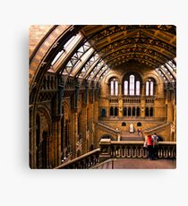 Natural History Museum Canvas Print