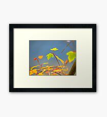 Blue Zen Framed Print