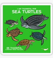 Pegatina Estoy agradecido por las tortugas marinas