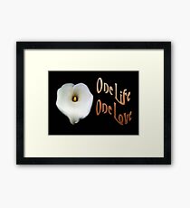 Calla Lily Isolated on Black "One Life, One Love" Greeting Framed Print