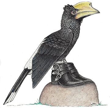Artwork thumbnail, Hornbill in buckle shoes by JimsBirds