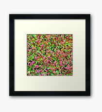 Cover Framed Print