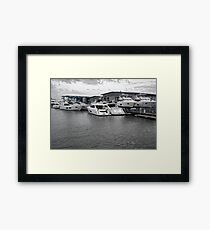 Seeking Sun Framed Print