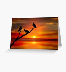 Birds at Sunset point-2 Greeting Card