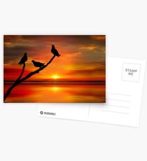 Birds at Sunset point-2 Postcards
