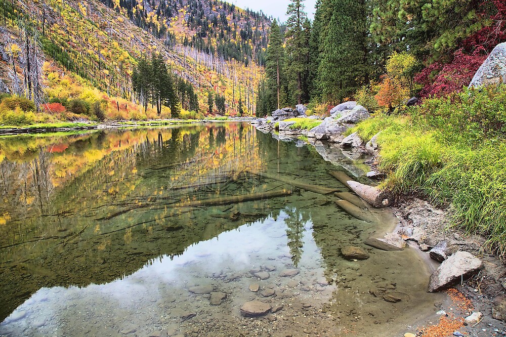 Wenatchee River Fall Colors By Mike Kinney Redbubble