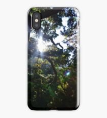 Through the trees iPhone Case