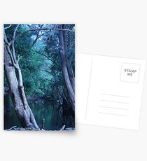 Riparian Kilcoy Postcards