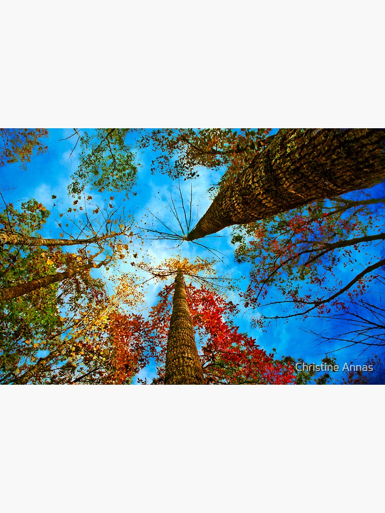 Up! by 2Bricks