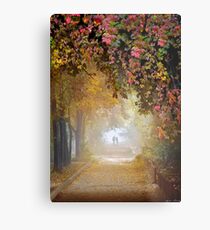 Stroll In The Fog Metal Print