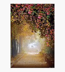 Stroll In The Fog Photographic Print