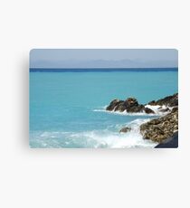 oceanlife Canvas Print