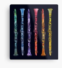 Rainbow Clarinets Metal Print