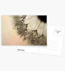 Peach & Dandy Postcards