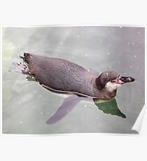 Penguin Poster