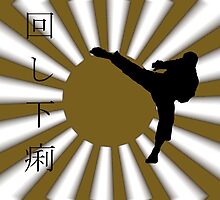 MAWASHI-GERI by ddmushi
