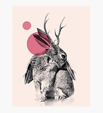 wild heart Photographic Print