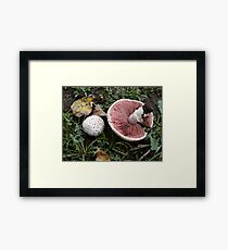 On The Flip Side Framed Print
