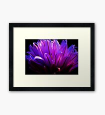 Purple Flower Framed Print
