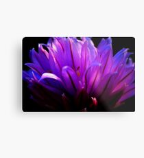 Purple Flower Metal Print
