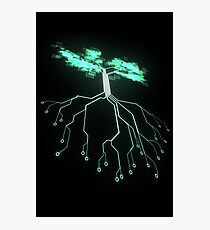 Digital Tree Photographic Print