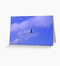 Bird Greeting Card