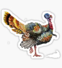 Turkey Plumage Sticker
