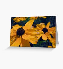 Black Eyed Susan Flowers Greeting Card
