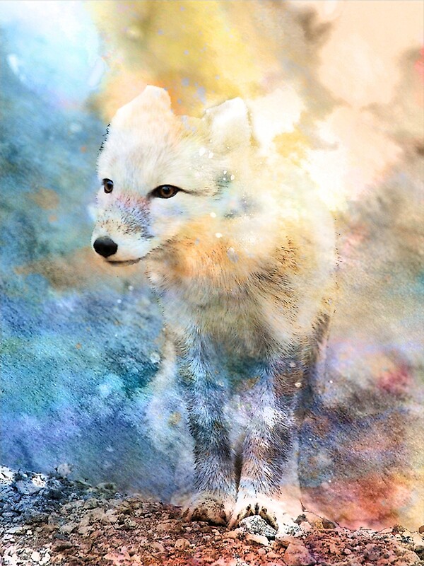 “ARCTIC FOX” by Tammera | Redbubble