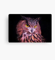 Eurasian Eagle Owl Canvas Print