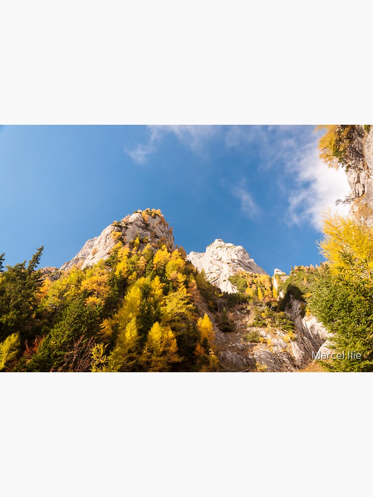 Autumn on the mountains by imaruseru