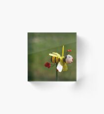 Don't worry, BEE happy Acrylic Block
