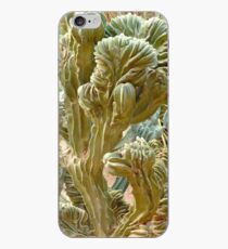 Cactus cover iPhone Case