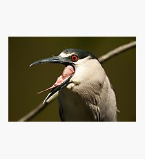 Gag Reflex Photographic Print
