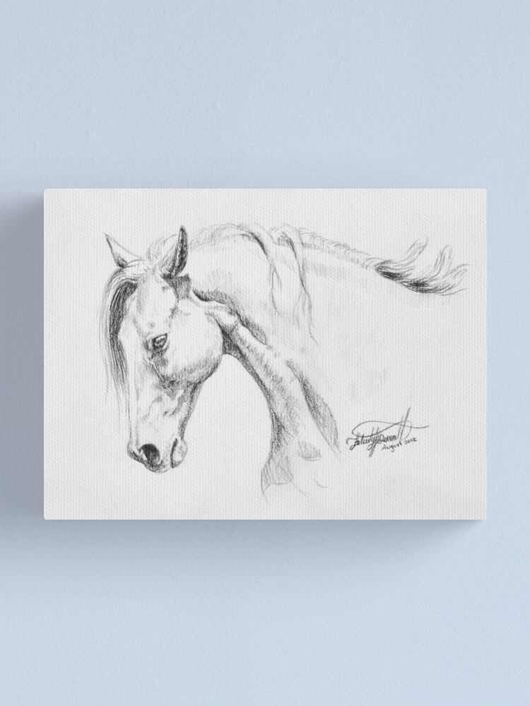 Simple Horse Charcoal Drawing Canvas Print