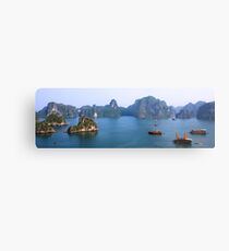 Halong Bay, Vietnam Metal Print