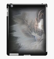 "Kitty Kitty IPad Case " iPad Case/Skin