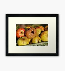 Bad apple in the basket Framed Print