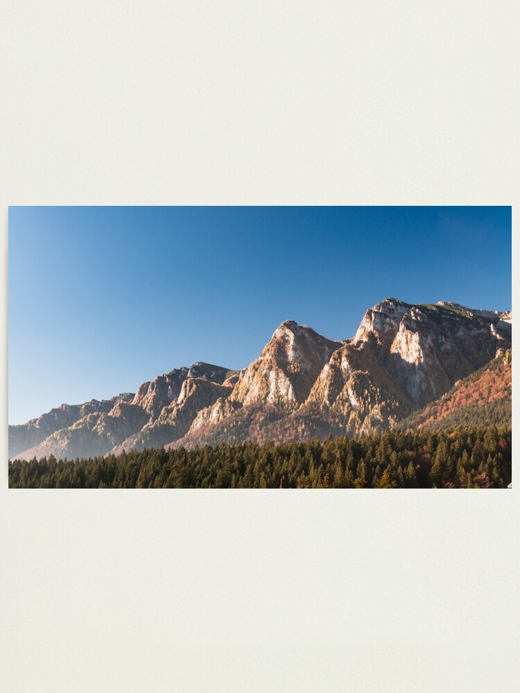 Alternate view of Sweet november Photographic Print