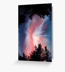 Pink Aurora Borealis, Finland Greeting Card
