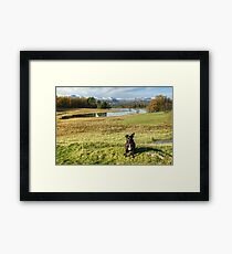 Do You Prefer This Pose? Framed Print