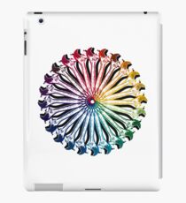 Wrench Color Wheel B iPad Case/Skin