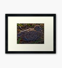 New Born Framed Print