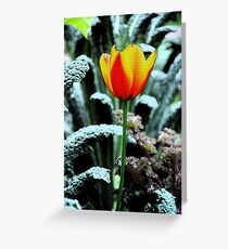 Unnatural Greeting Card