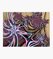 Summer Elegy Photographic Print