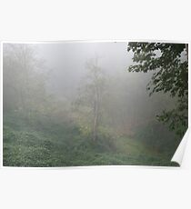 My Backyard Poster