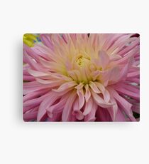 Dahlia #15 Canvas Print