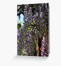 Smelling Sweet Greeting Card